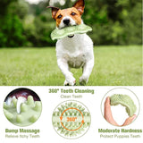 Chewy Fun Dog Toy Ball