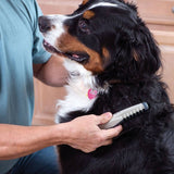 New Electric Pet Grooming Clippers and Combs