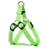 GlowGuard LED Dog Harness