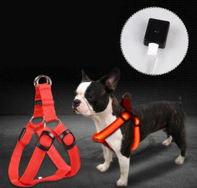 GlowGuard LED Dog Harness