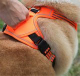 AllTerrain Pet Harness