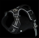 AllTerrain Pet Harness