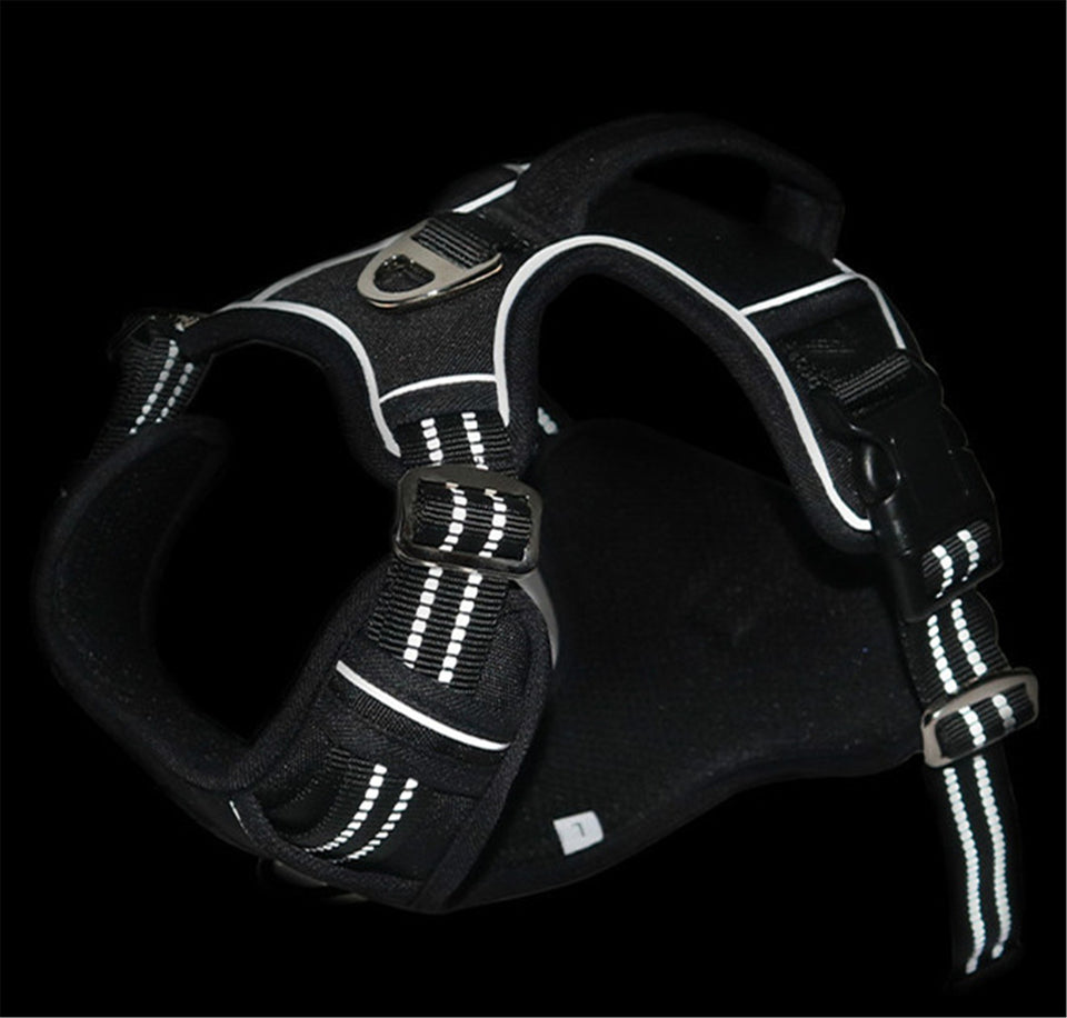 AllTerrain Pet Harness