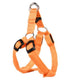 Orange (XS)