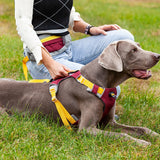 Reflective Dog Training Vest with Chest Strap