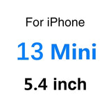 Privacy Screen Protectors