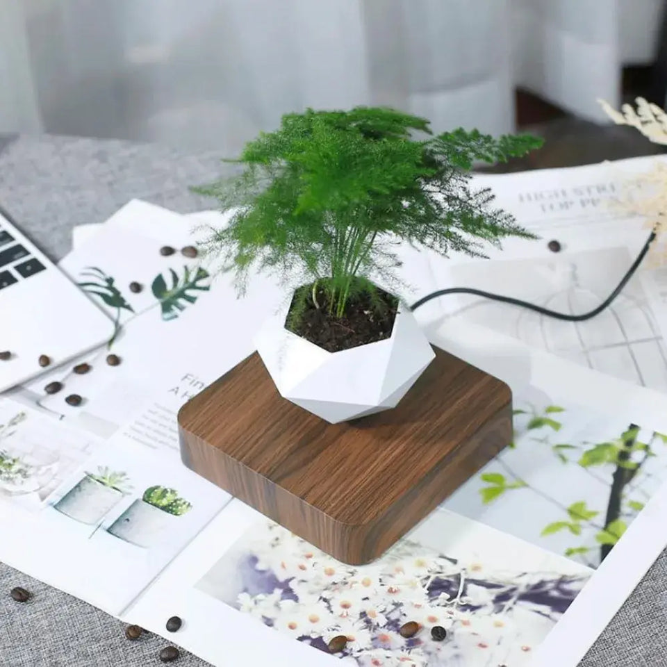 Levitating Flower Pot