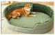Olive Green (Without Cushion)