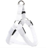 GlowGuard LED Dog Harness