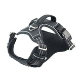 AllTerrain Pet Harness