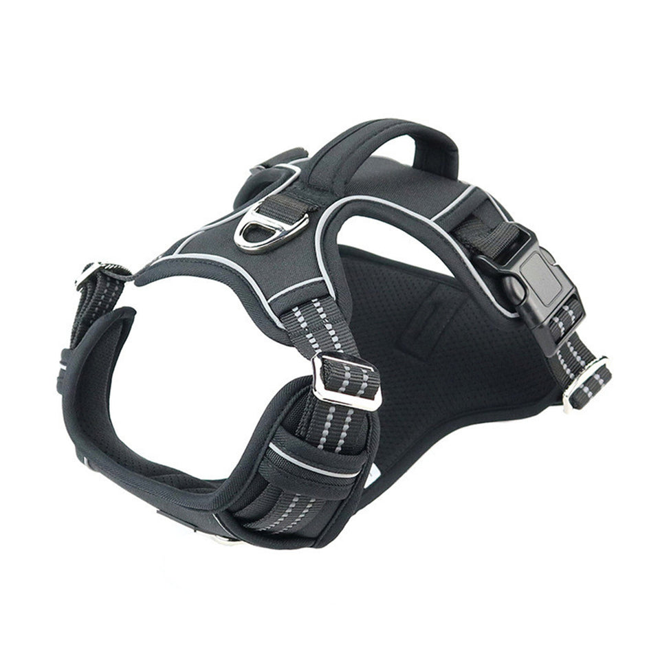 AllTerrain Pet Harness