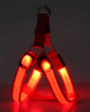GlowGuard LED Dog Harness